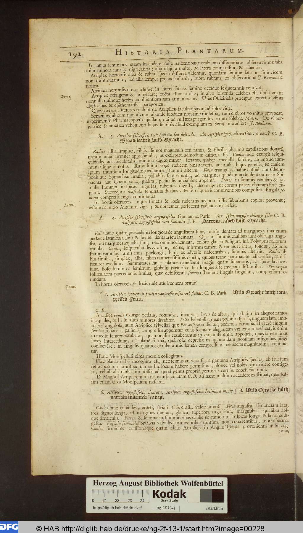 http://diglib.hab.de/drucke/ng-2f-13-1/00228.jpg