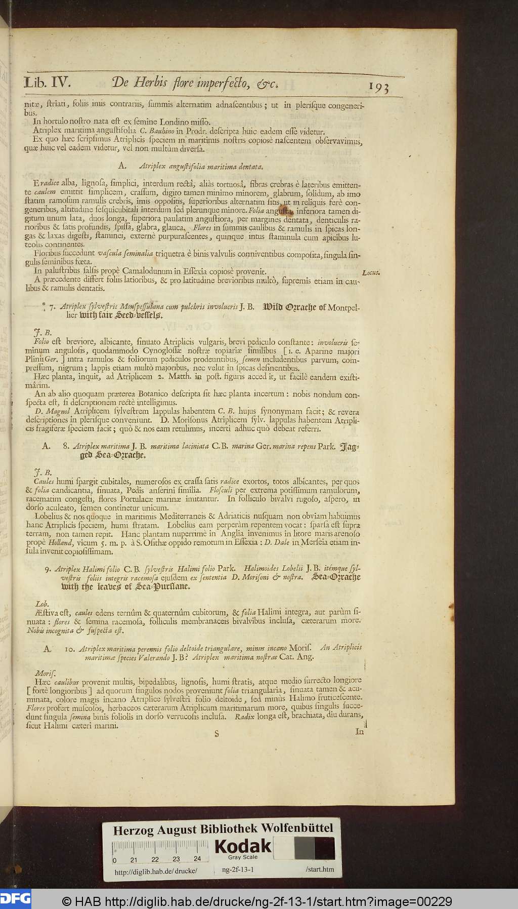 http://diglib.hab.de/drucke/ng-2f-13-1/00229.jpg