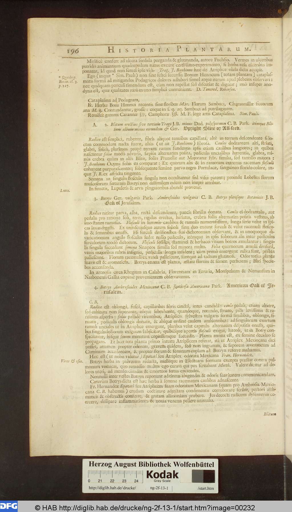 http://diglib.hab.de/drucke/ng-2f-13-1/00232.jpg