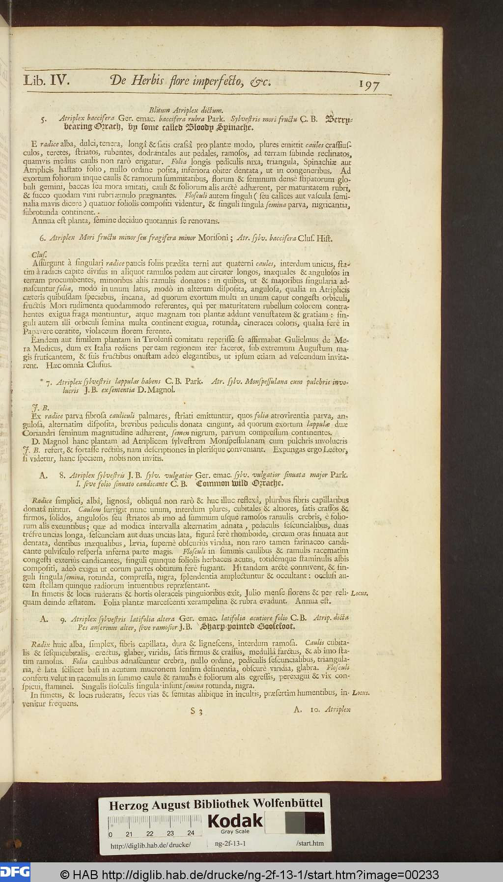 http://diglib.hab.de/drucke/ng-2f-13-1/00233.jpg