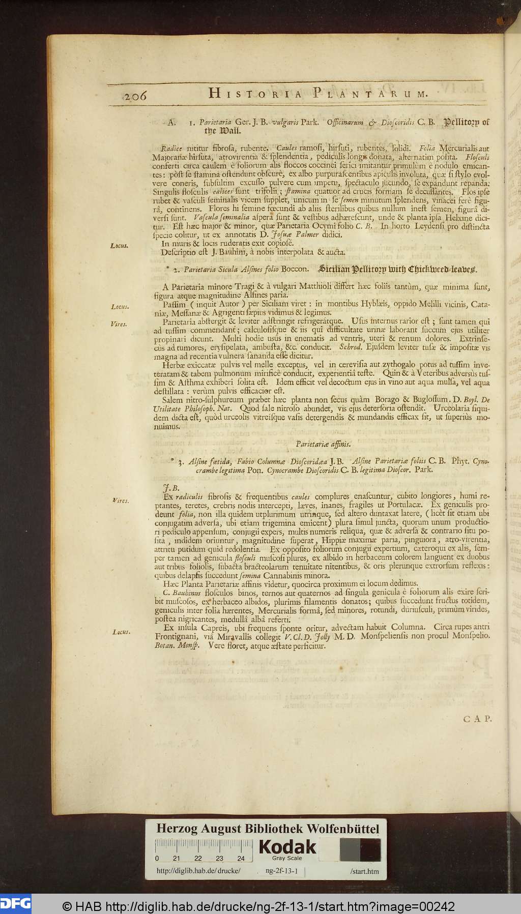 http://diglib.hab.de/drucke/ng-2f-13-1/00242.jpg