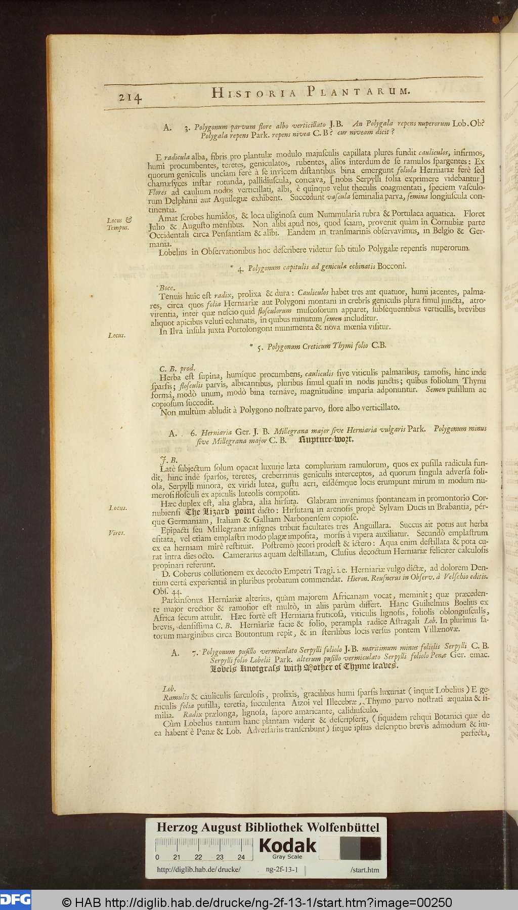 http://diglib.hab.de/drucke/ng-2f-13-1/00250.jpg