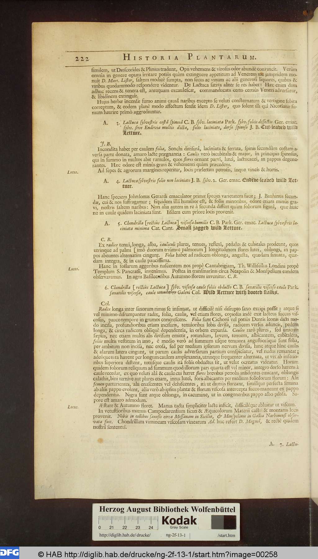 http://diglib.hab.de/drucke/ng-2f-13-1/00258.jpg