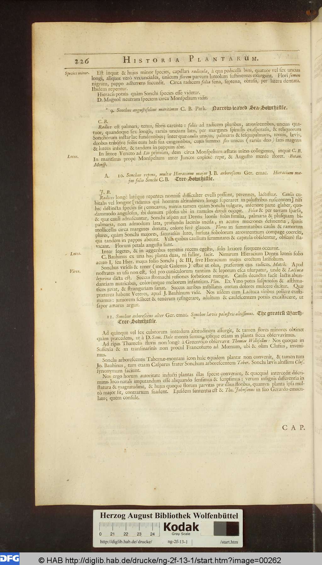 http://diglib.hab.de/drucke/ng-2f-13-1/00262.jpg