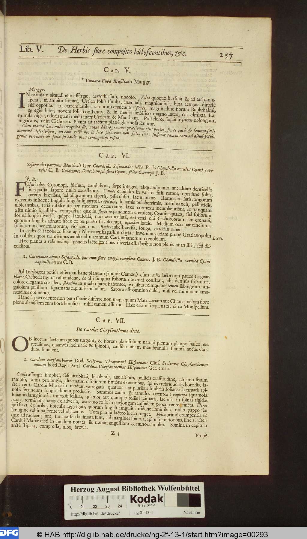 http://diglib.hab.de/drucke/ng-2f-13-1/00293.jpg