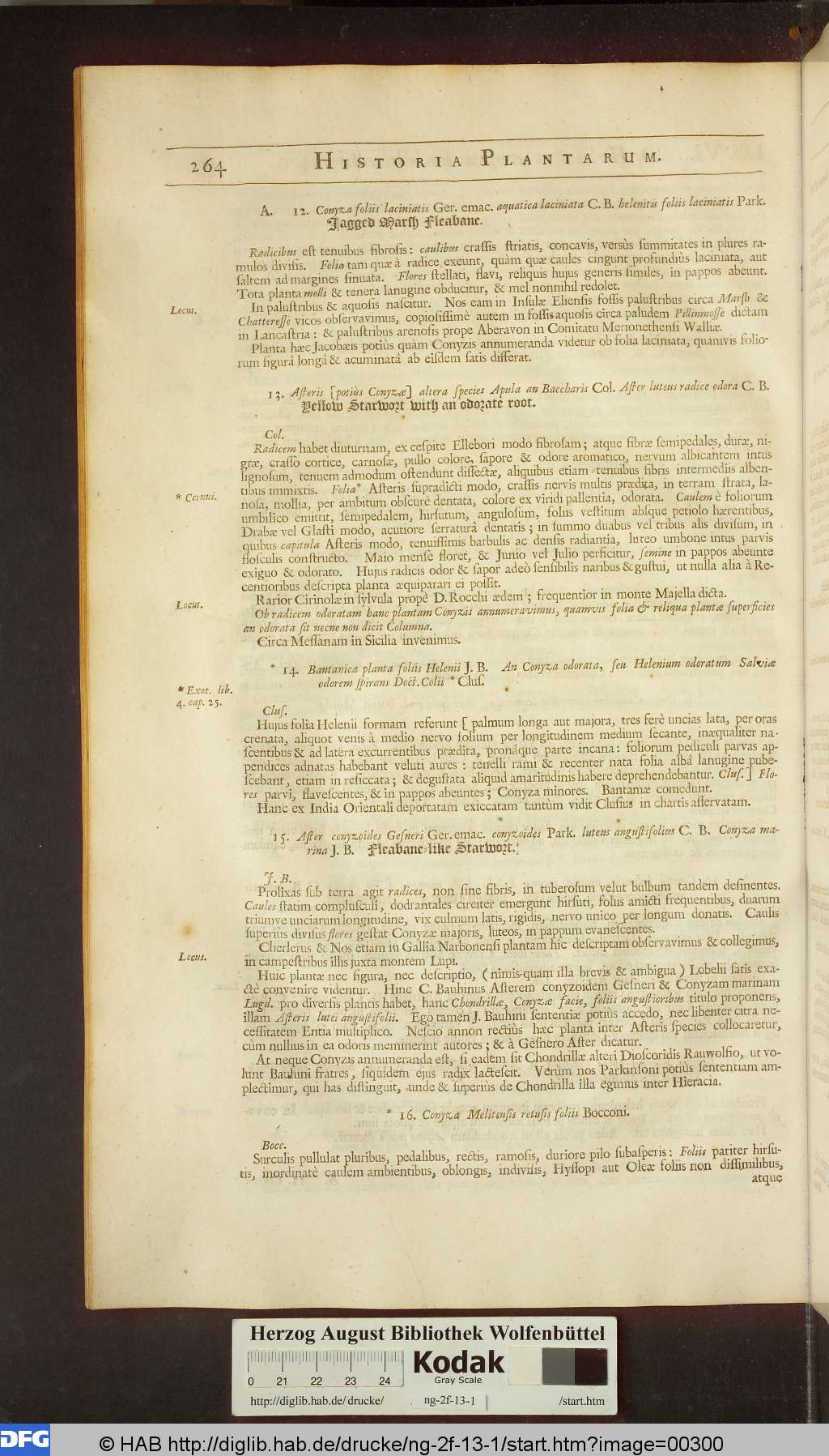 http://diglib.hab.de/drucke/ng-2f-13-1/00300.jpg
