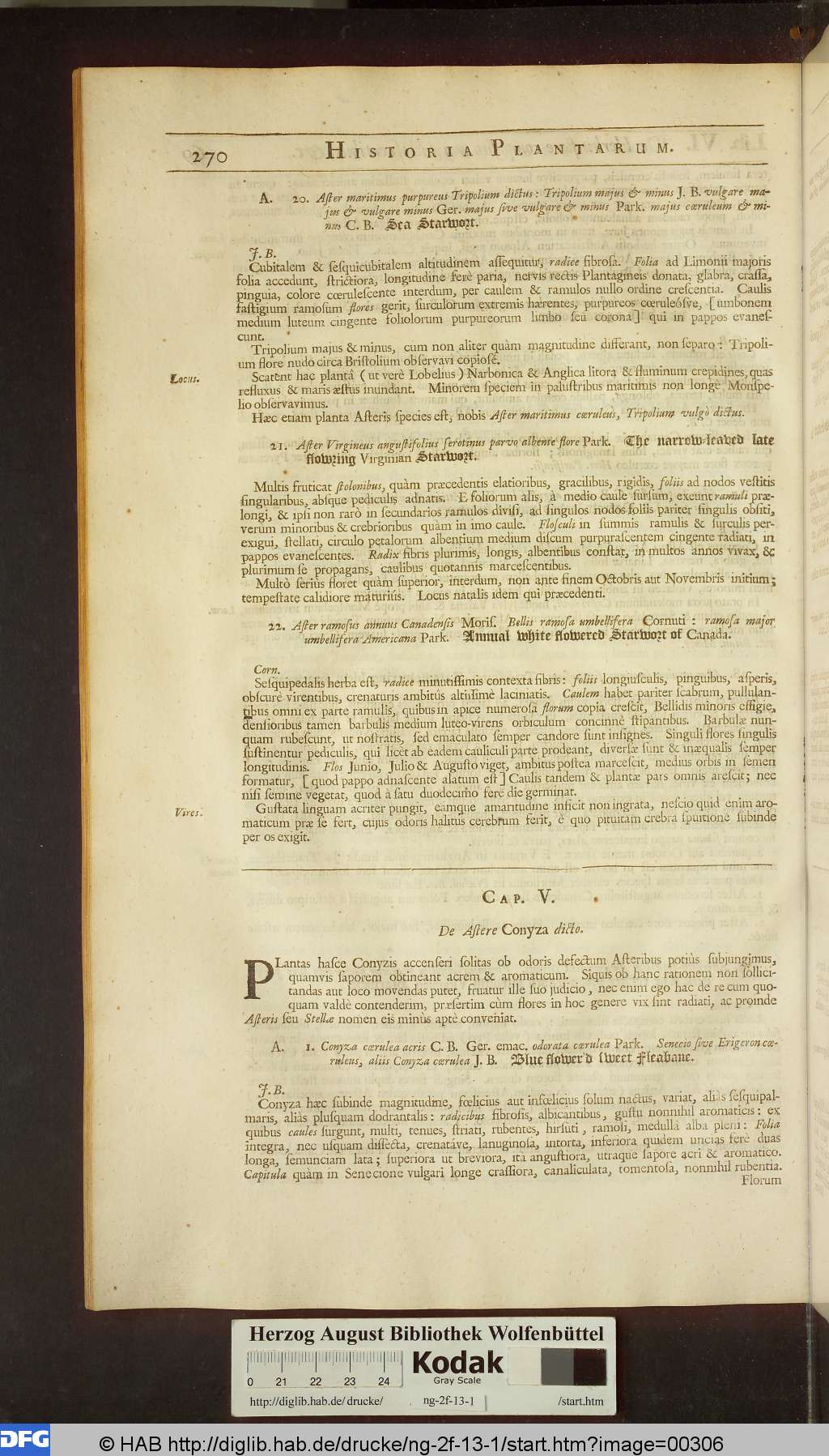 http://diglib.hab.de/drucke/ng-2f-13-1/00306.jpg