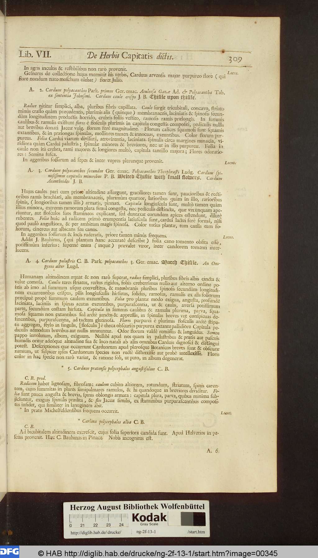 http://diglib.hab.de/drucke/ng-2f-13-1/00345.jpg
