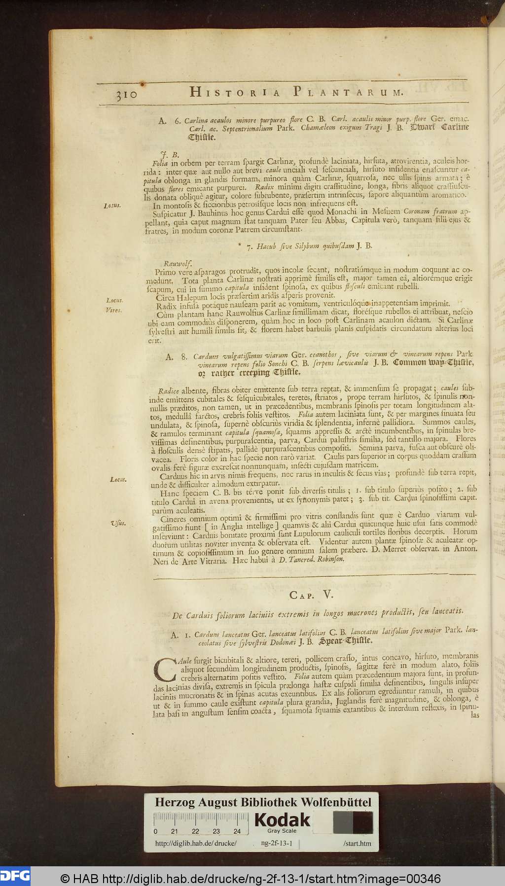 http://diglib.hab.de/drucke/ng-2f-13-1/00346.jpg