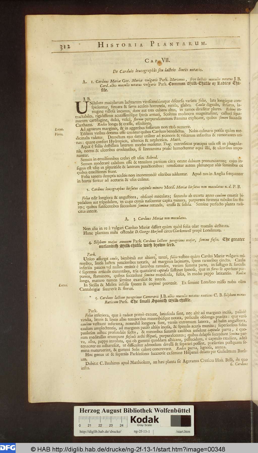 http://diglib.hab.de/drucke/ng-2f-13-1/00348.jpg