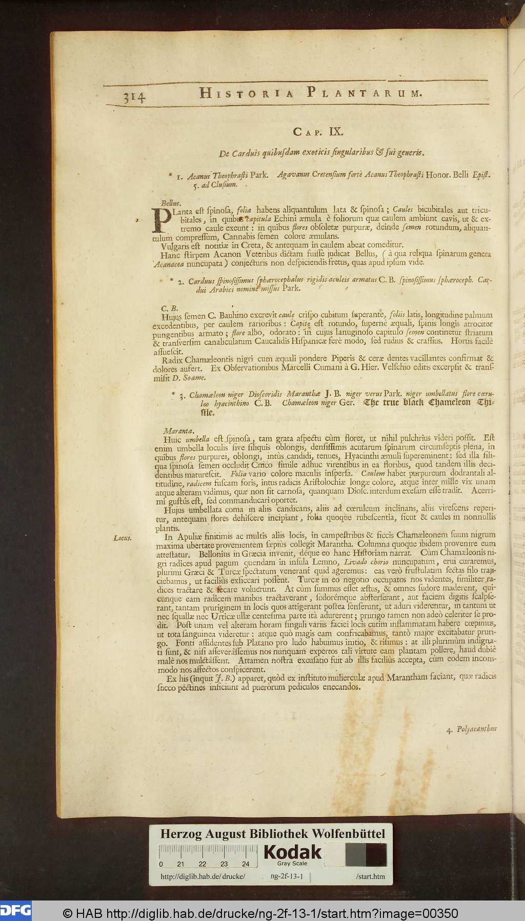 http://diglib.hab.de/drucke/ng-2f-13-1/00350.jpg