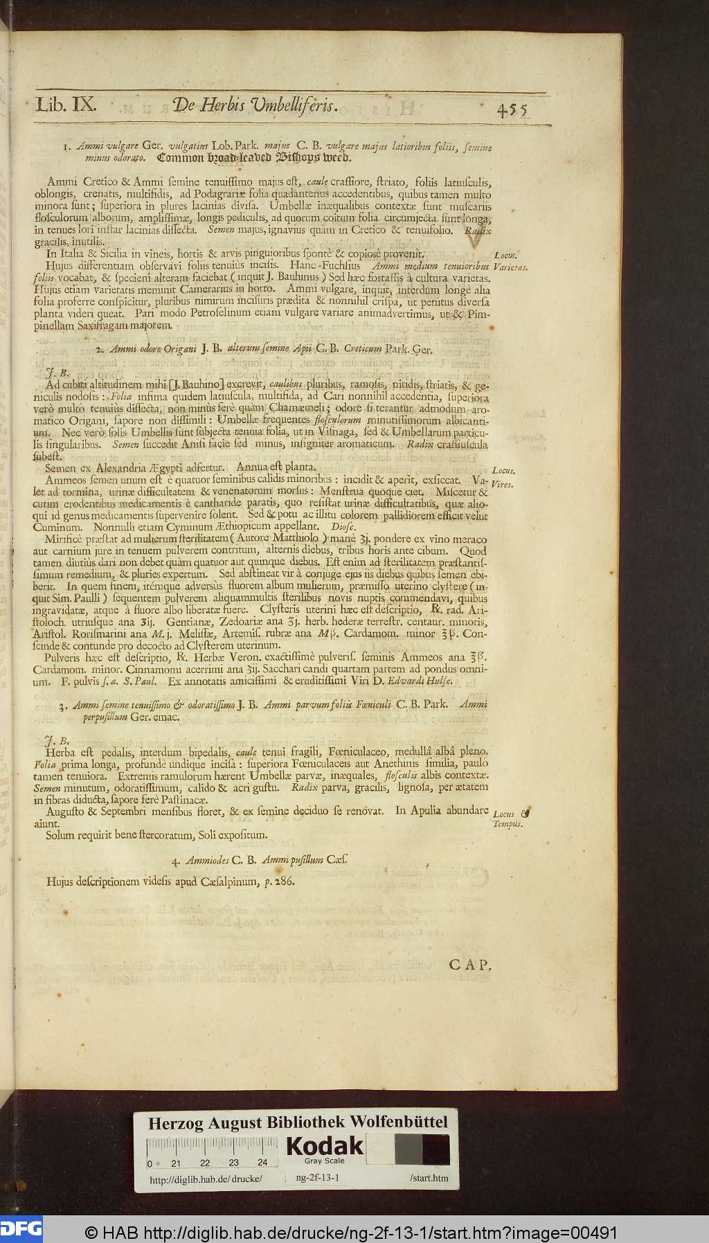 http://diglib.hab.de/drucke/ng-2f-13-1/00491.jpg