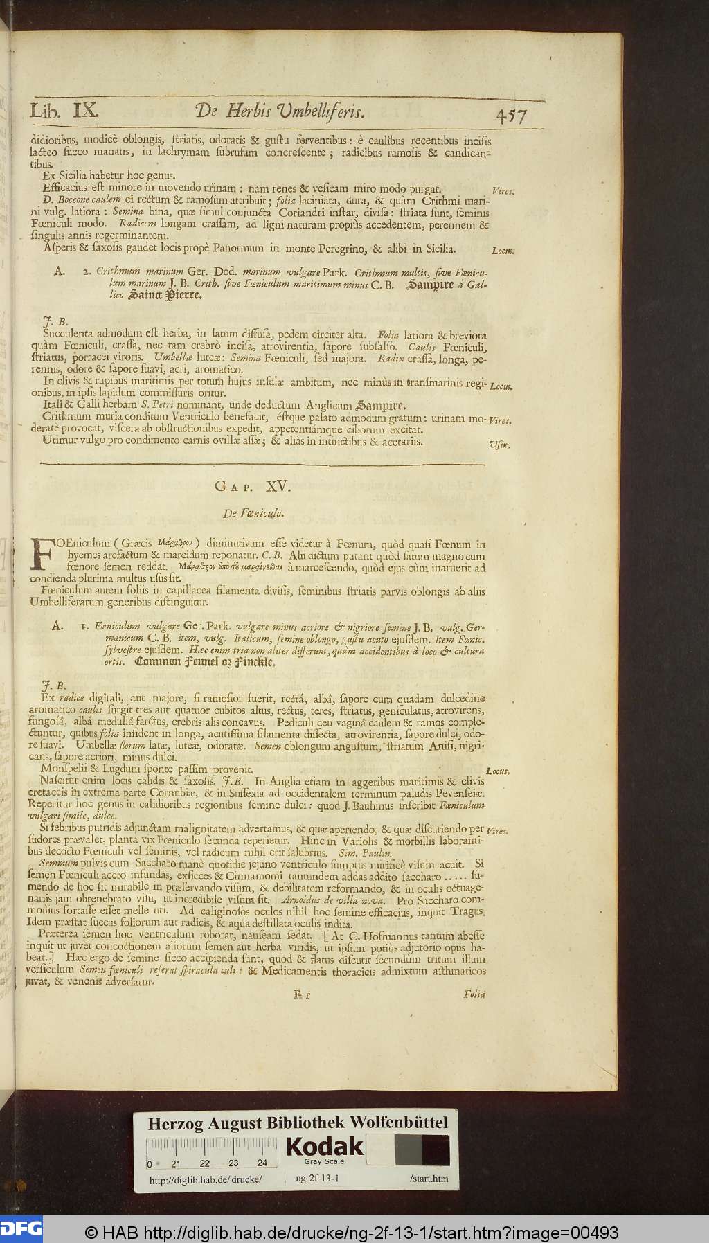 http://diglib.hab.de/drucke/ng-2f-13-1/00493.jpg