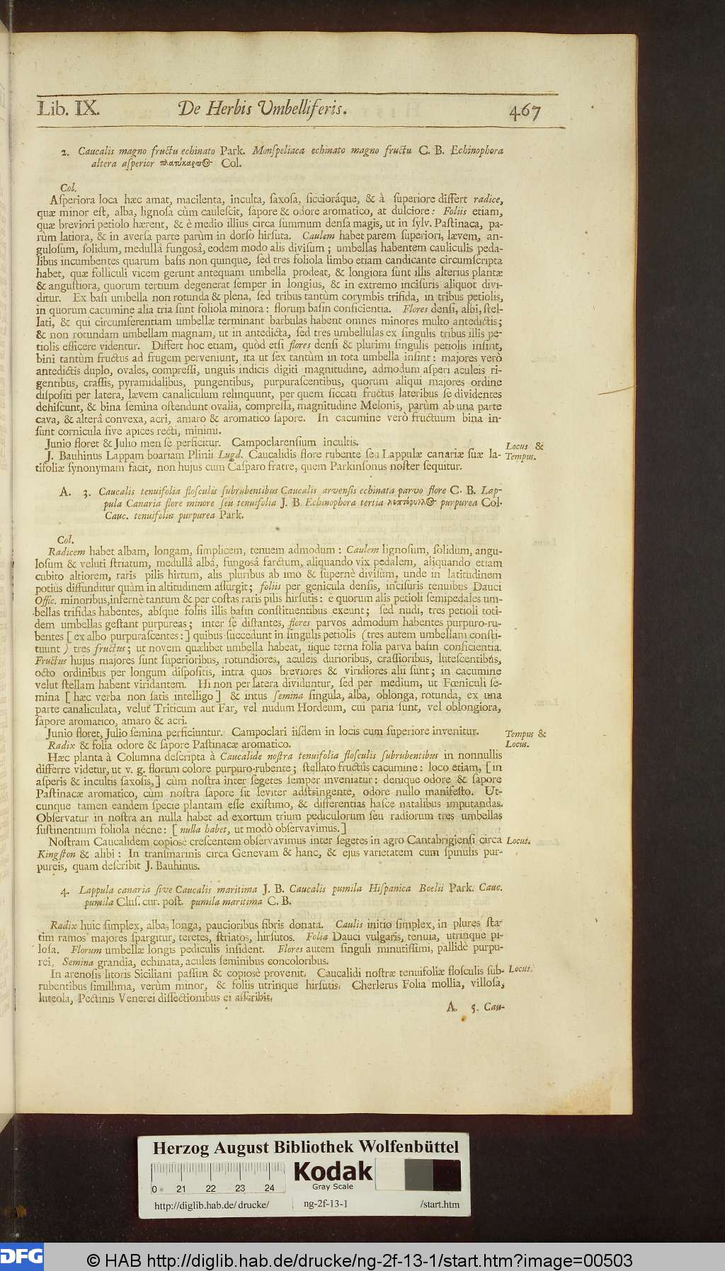 http://diglib.hab.de/drucke/ng-2f-13-1/00503.jpg