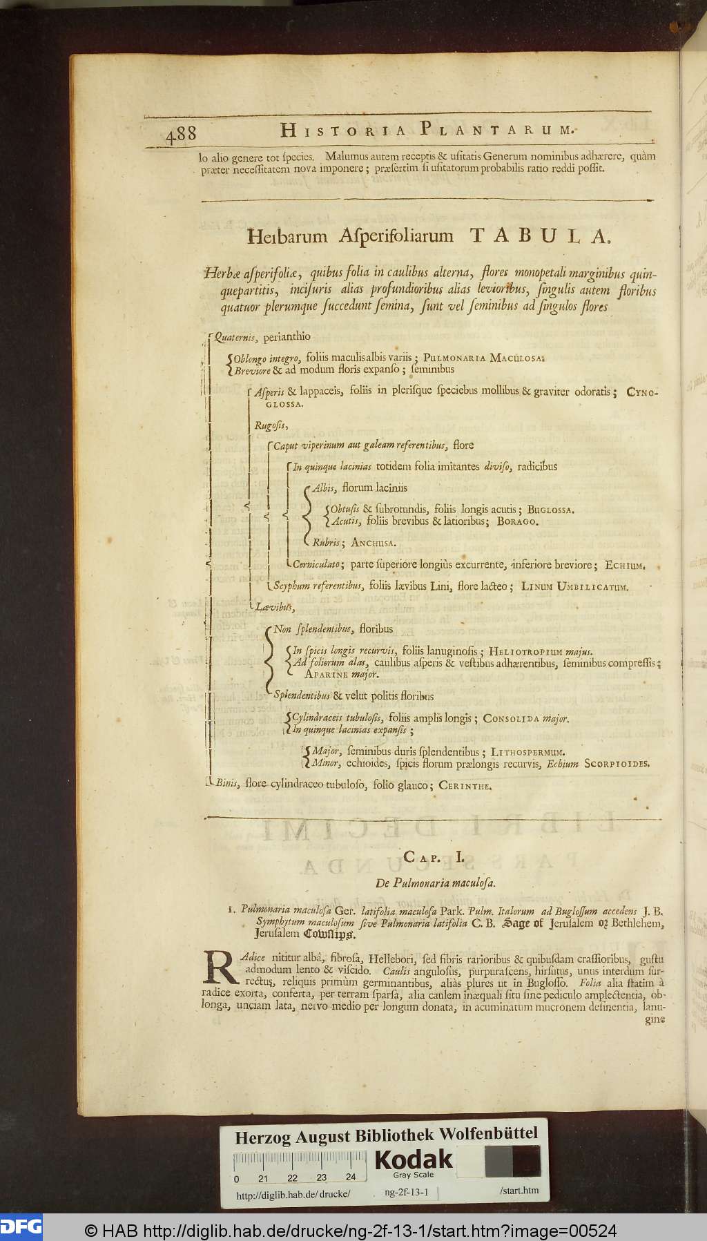 http://diglib.hab.de/drucke/ng-2f-13-1/00524.jpg