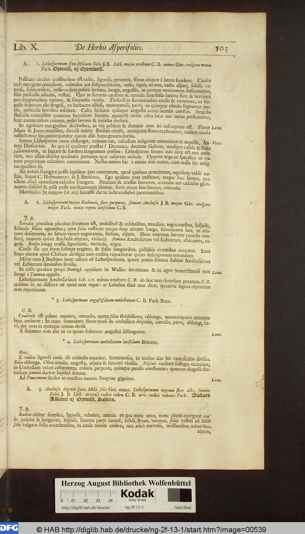 http://diglib.hab.de/drucke/ng-2f-13-1/00539.jpg