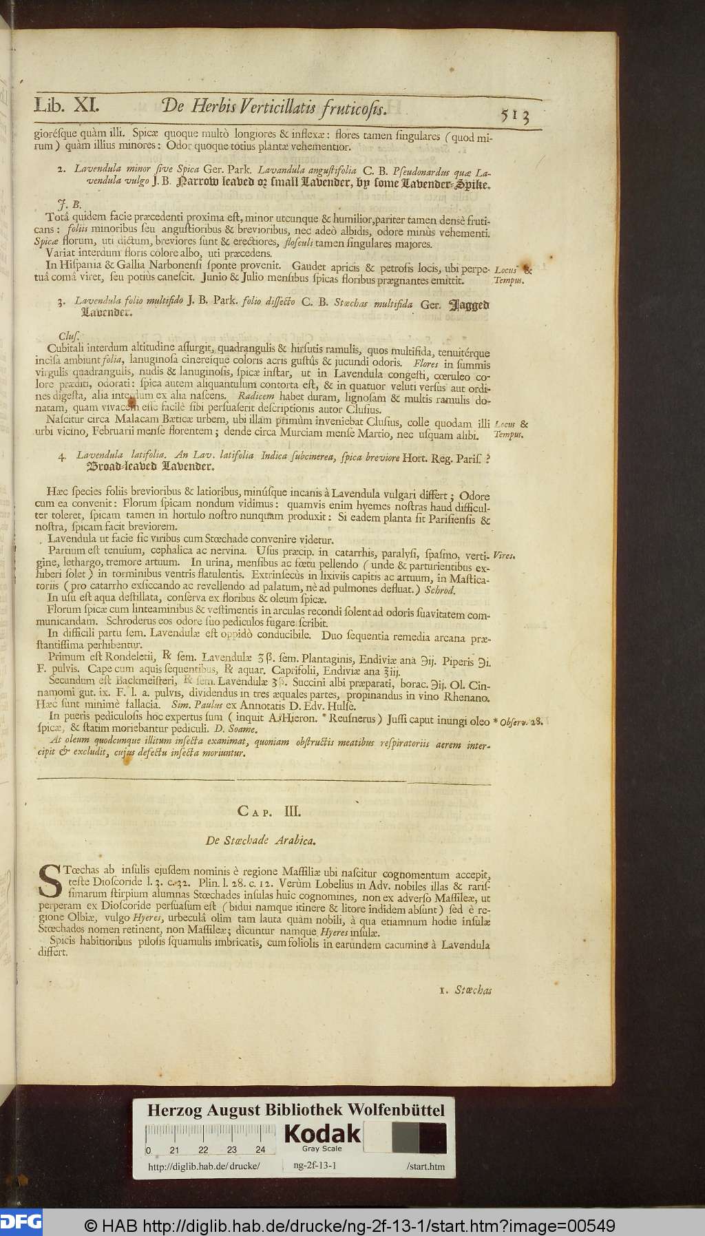 http://diglib.hab.de/drucke/ng-2f-13-1/00549.jpg