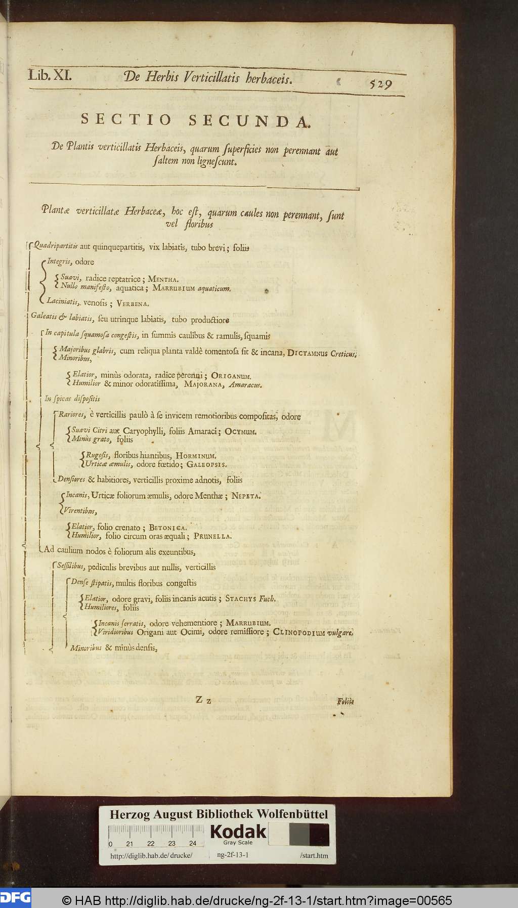 http://diglib.hab.de/drucke/ng-2f-13-1/00565.jpg