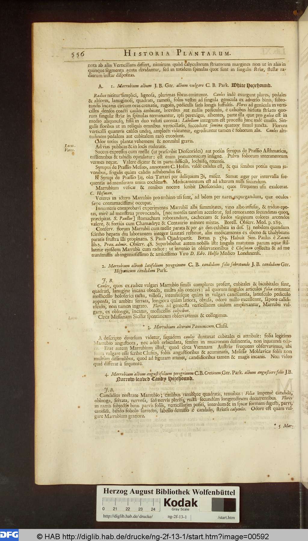http://diglib.hab.de/drucke/ng-2f-13-1/00592.jpg