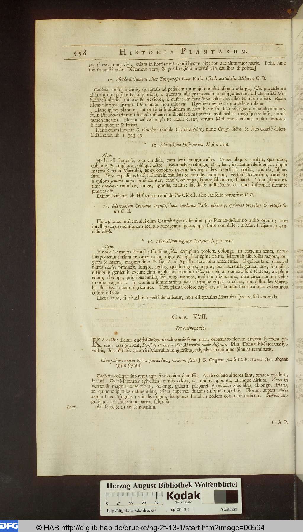 http://diglib.hab.de/drucke/ng-2f-13-1/00594.jpg