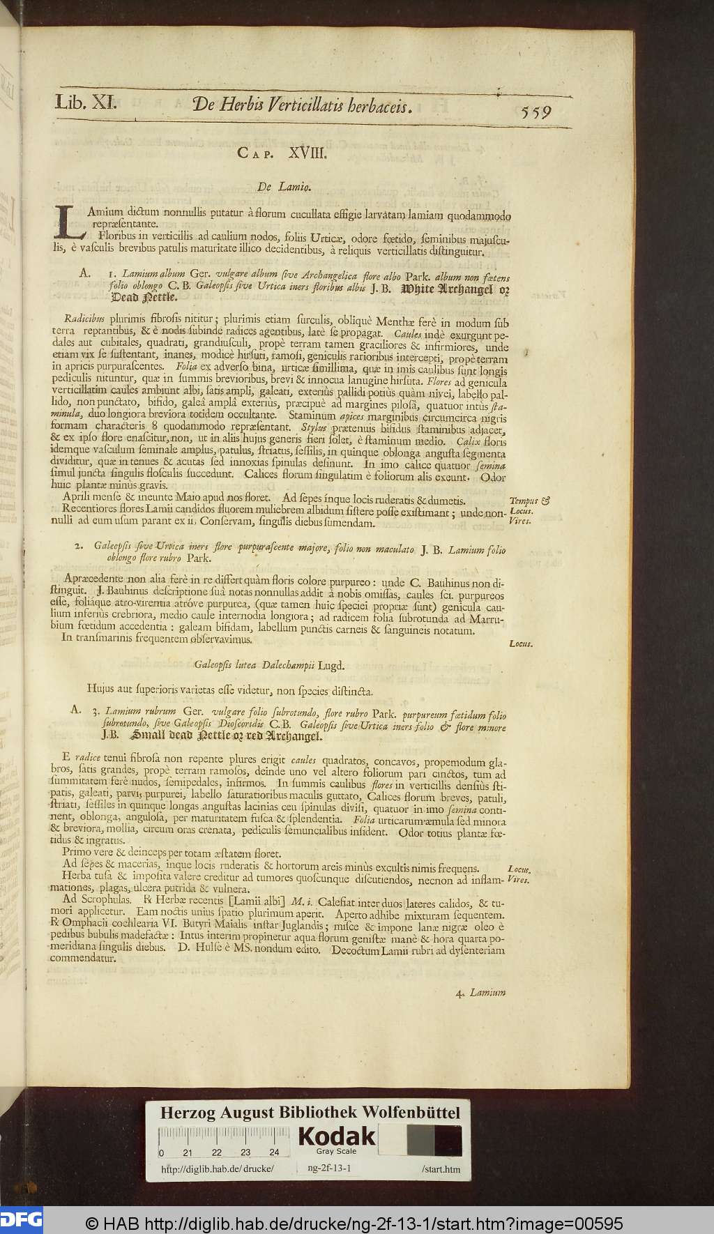 http://diglib.hab.de/drucke/ng-2f-13-1/00595.jpg