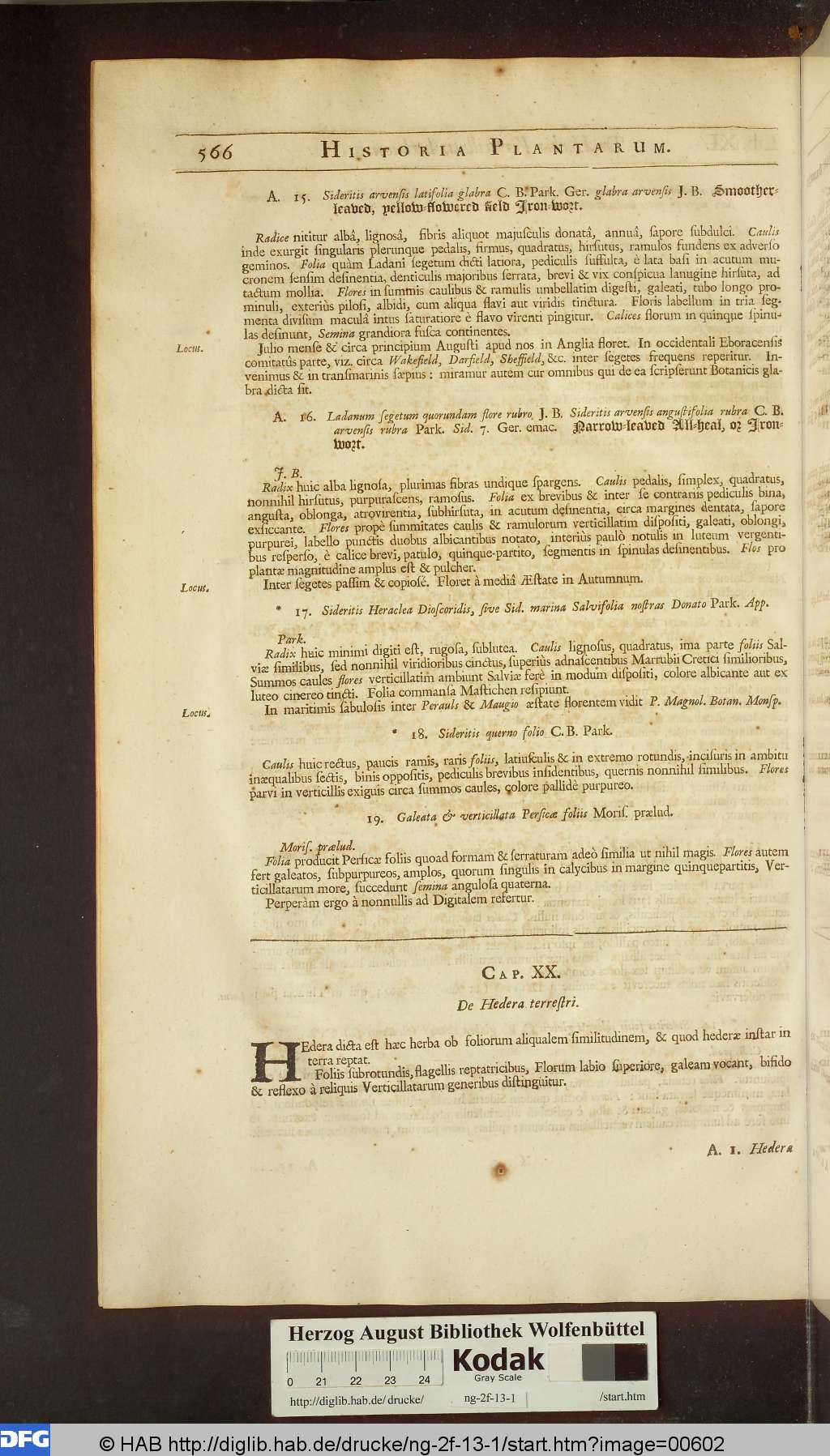 http://diglib.hab.de/drucke/ng-2f-13-1/00602.jpg