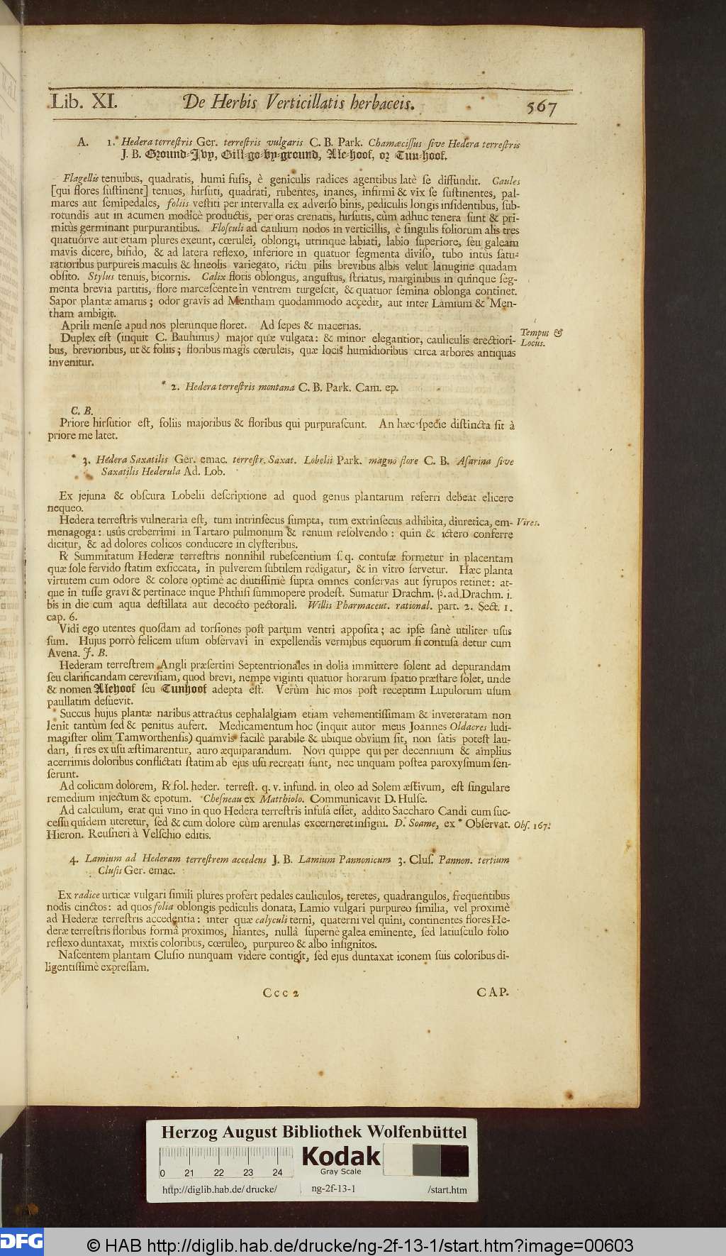 http://diglib.hab.de/drucke/ng-2f-13-1/00603.jpg