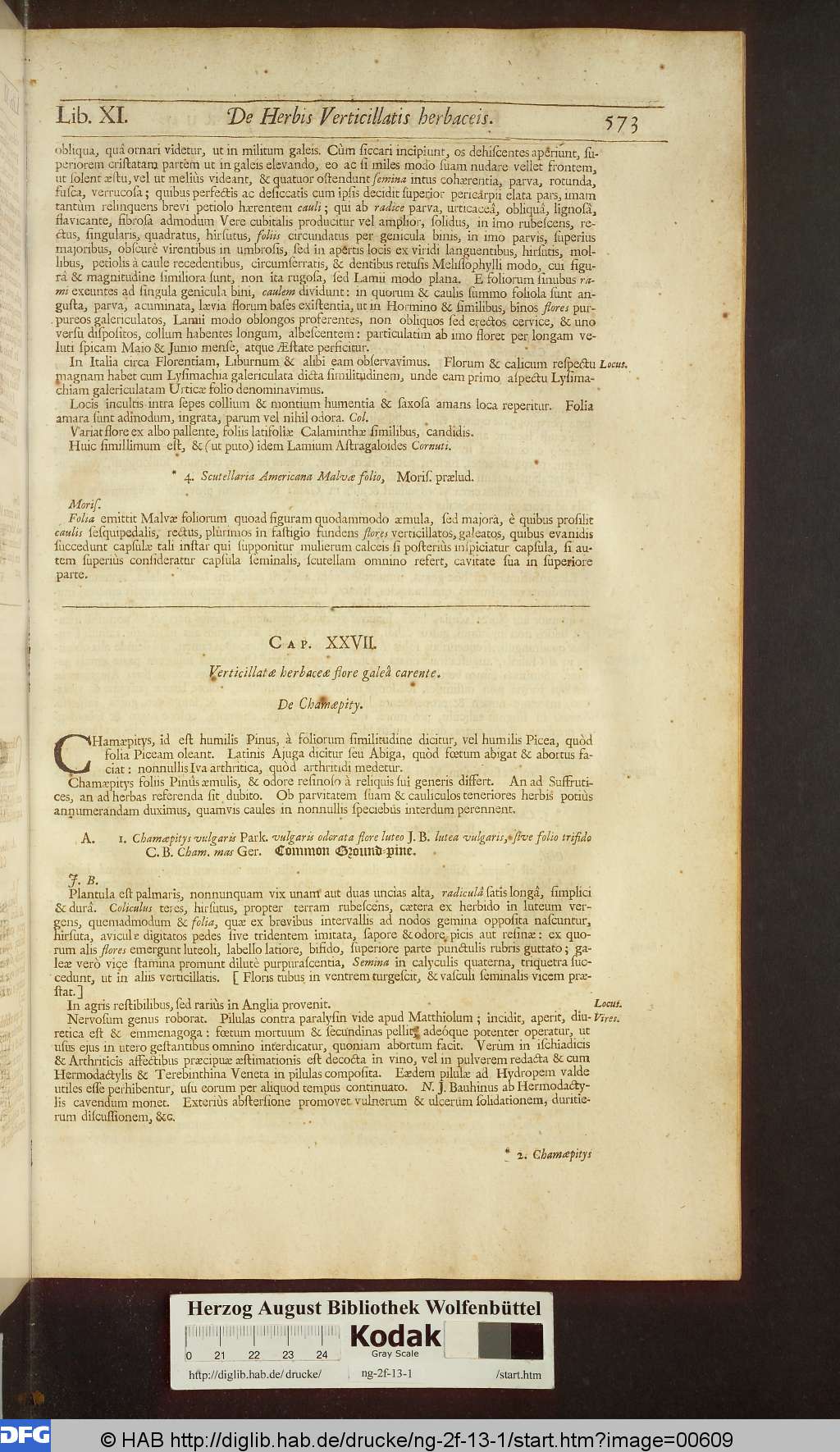 http://diglib.hab.de/drucke/ng-2f-13-1/00609.jpg