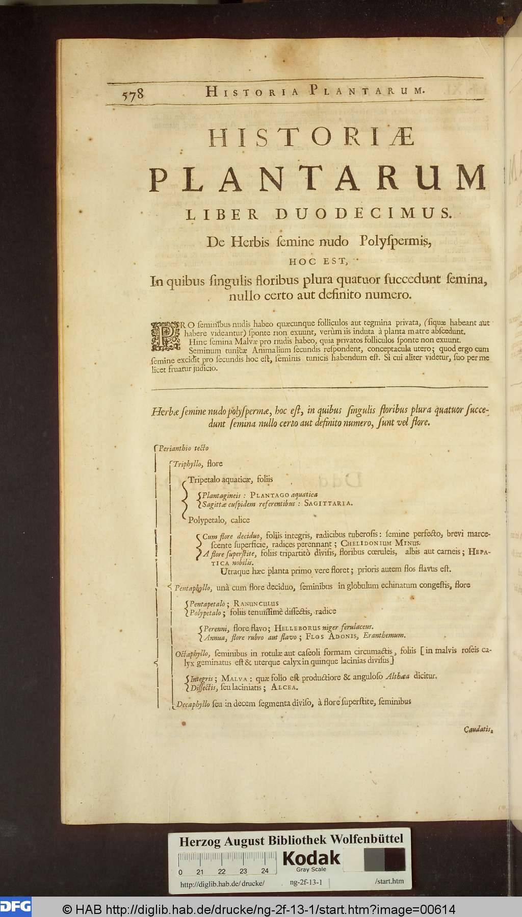http://diglib.hab.de/drucke/ng-2f-13-1/00614.jpg