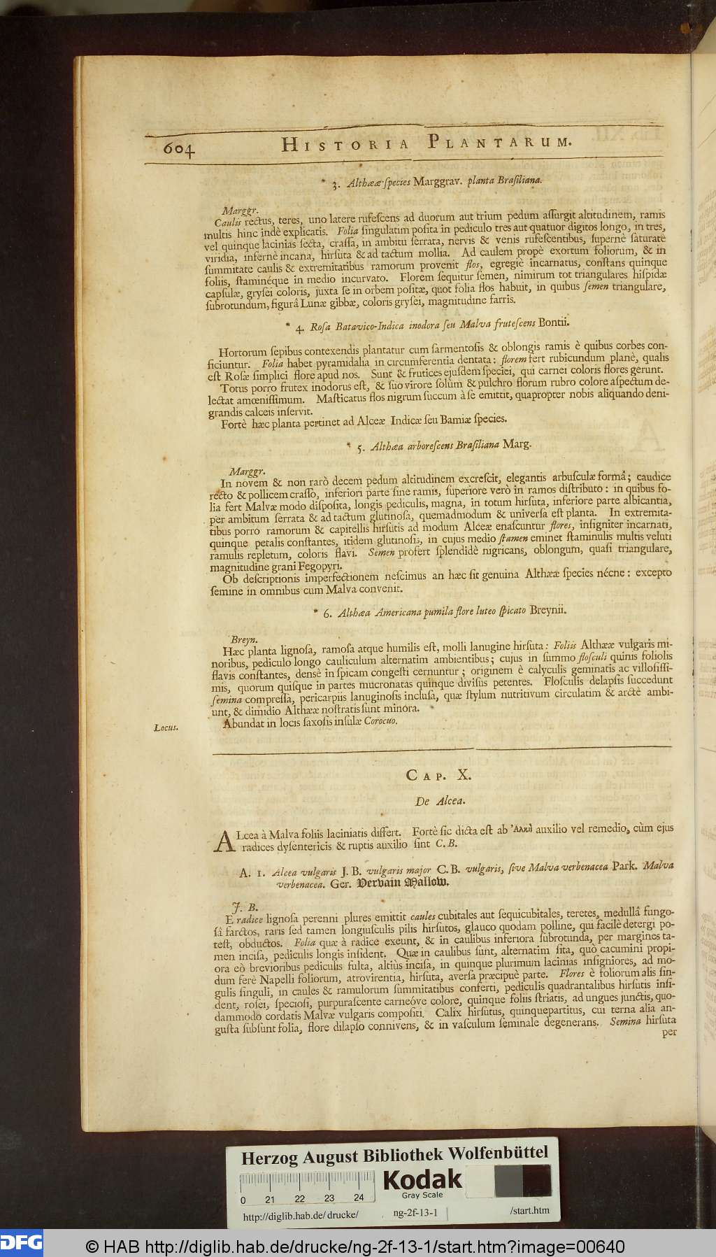 http://diglib.hab.de/drucke/ng-2f-13-1/00640.jpg
