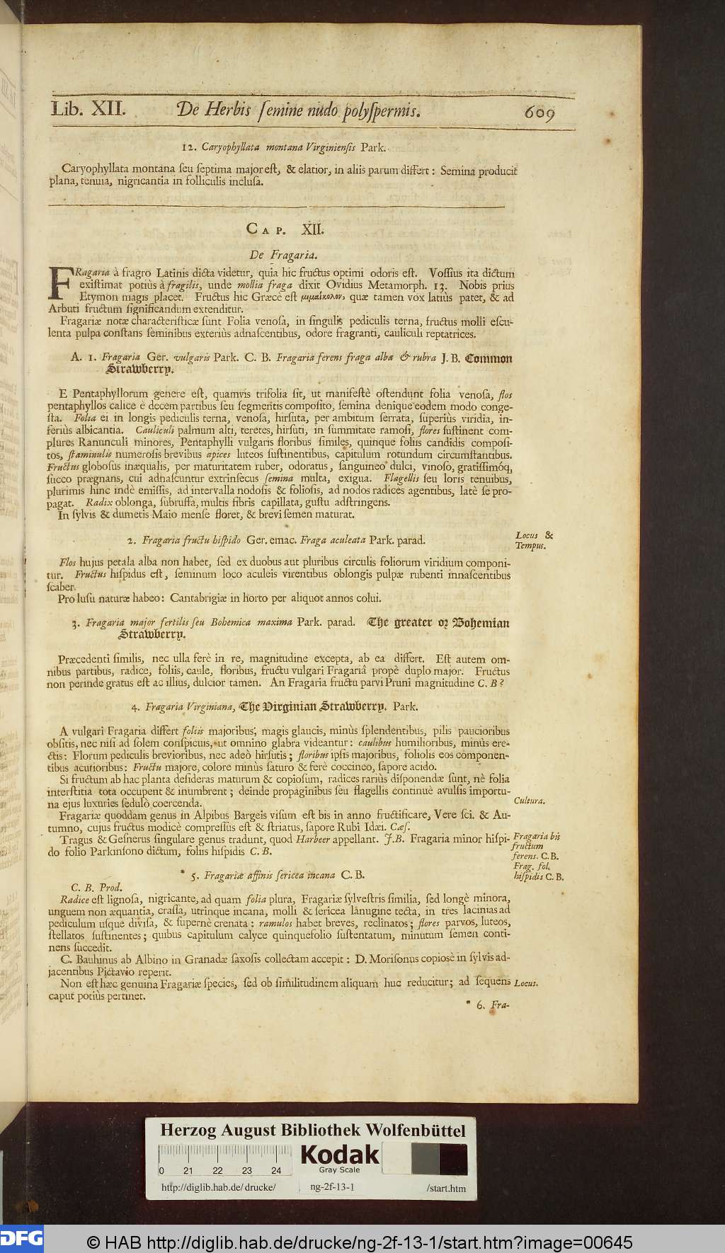 http://diglib.hab.de/drucke/ng-2f-13-1/00645.jpg