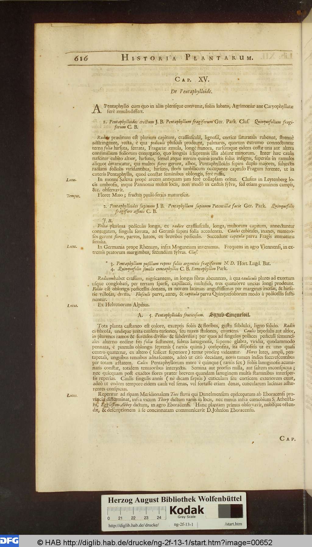 http://diglib.hab.de/drucke/ng-2f-13-1/00652.jpg