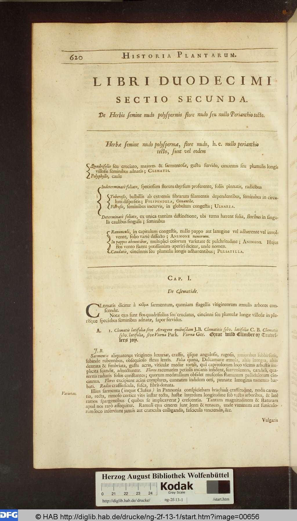 http://diglib.hab.de/drucke/ng-2f-13-1/00656.jpg