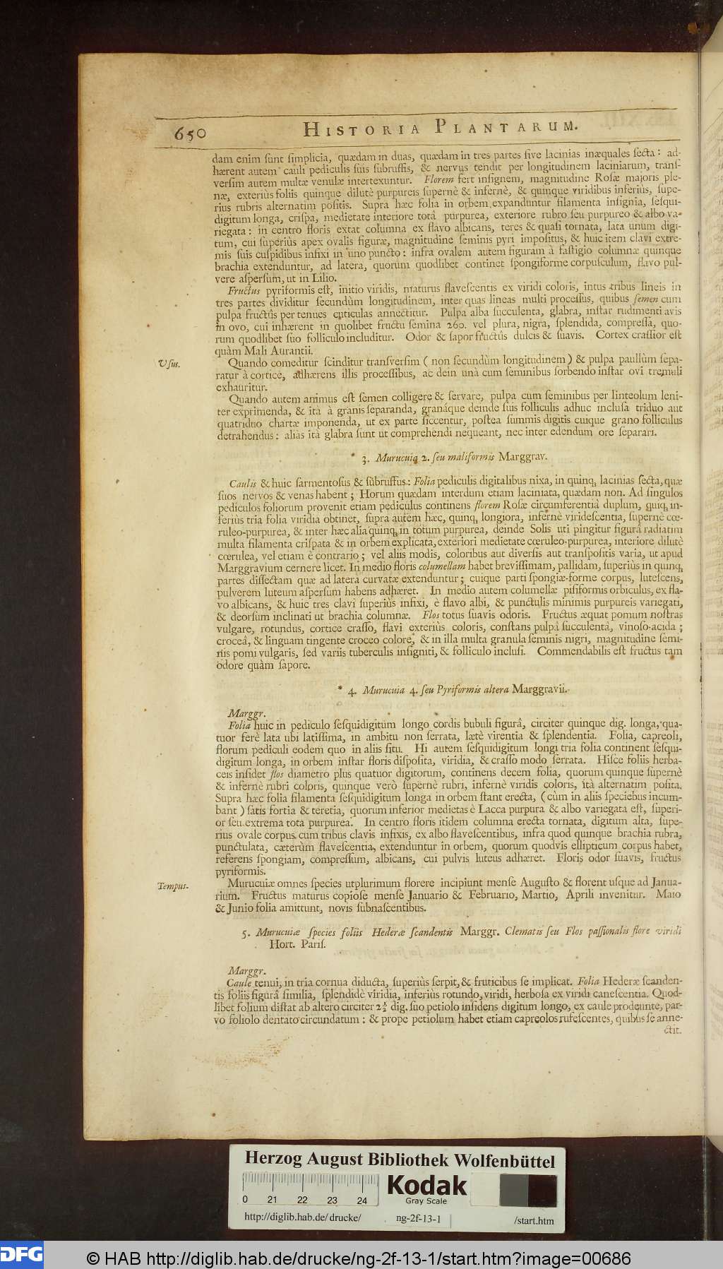 http://diglib.hab.de/drucke/ng-2f-13-1/00686.jpg