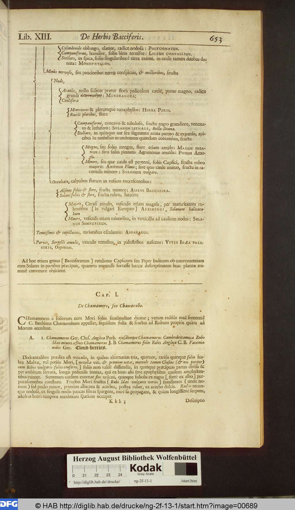 http://diglib.hab.de/drucke/ng-2f-13-1/00689.jpg