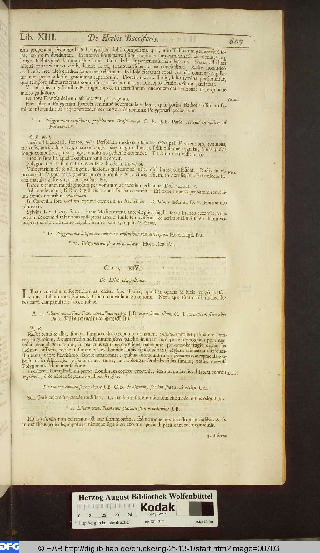http://diglib.hab.de/drucke/ng-2f-13-1/00703.jpg