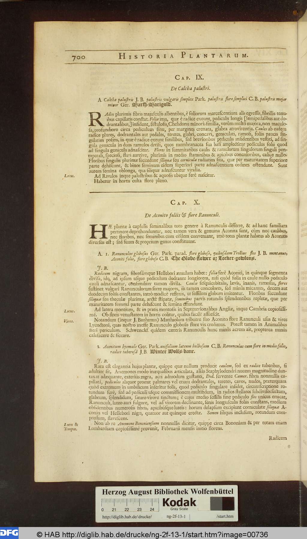 http://diglib.hab.de/drucke/ng-2f-13-1/00736.jpg