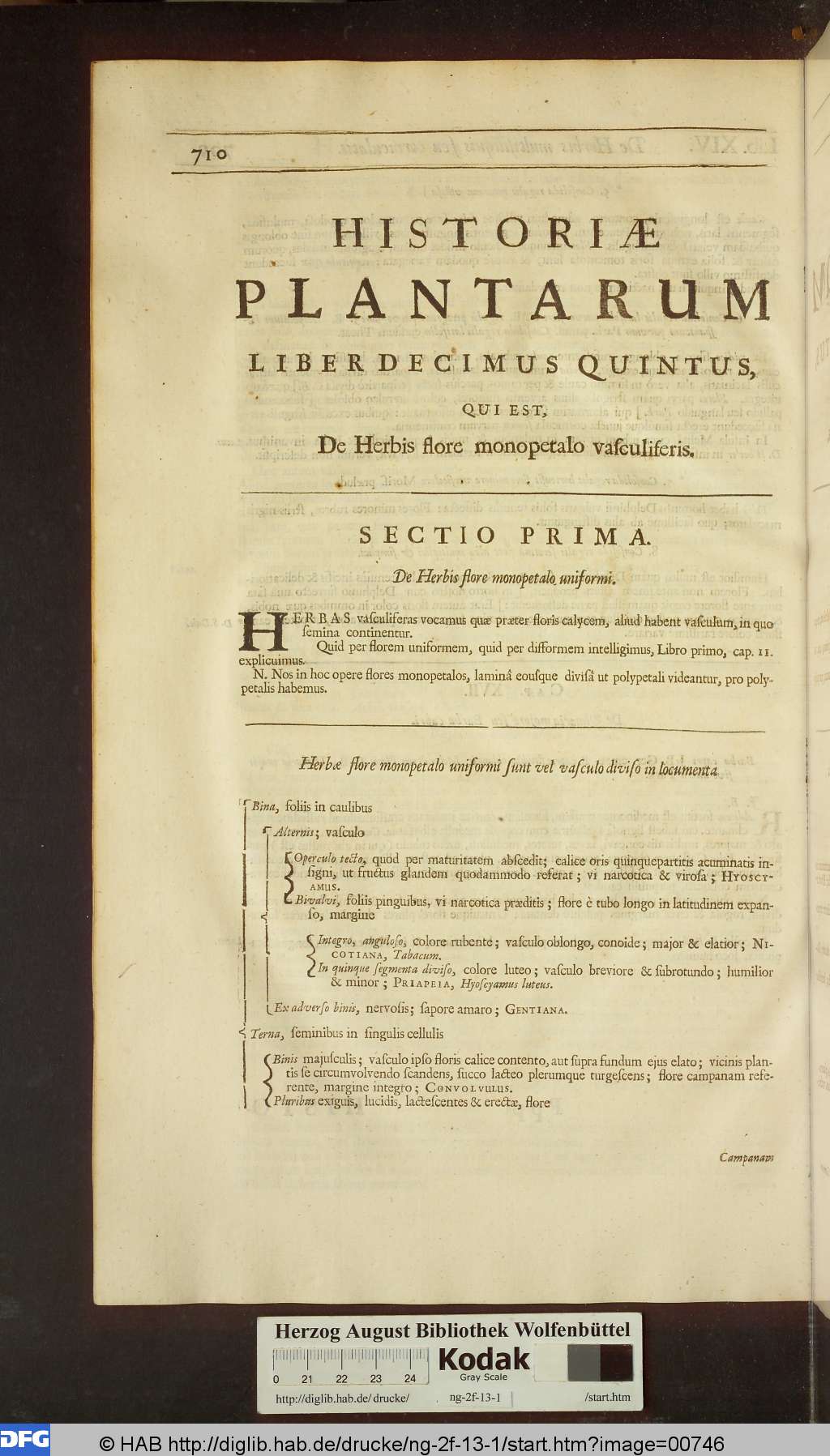 http://diglib.hab.de/drucke/ng-2f-13-1/00746.jpg