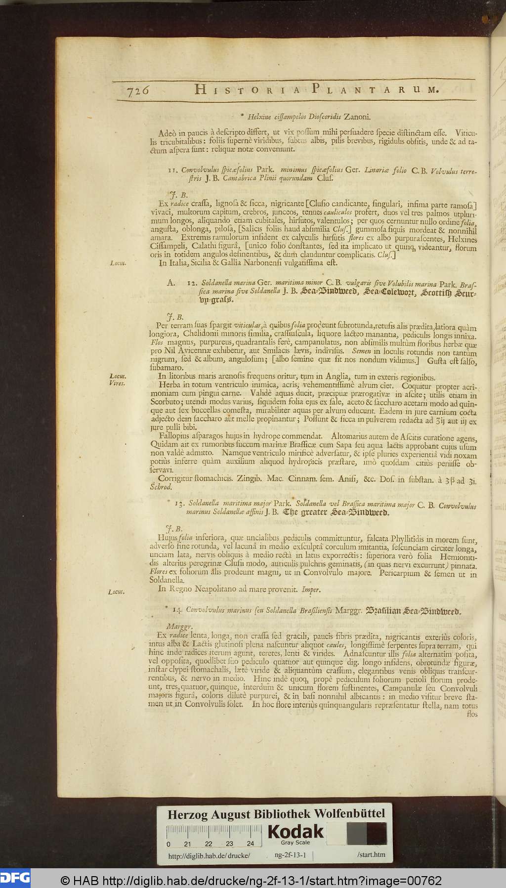 http://diglib.hab.de/drucke/ng-2f-13-1/00762.jpg