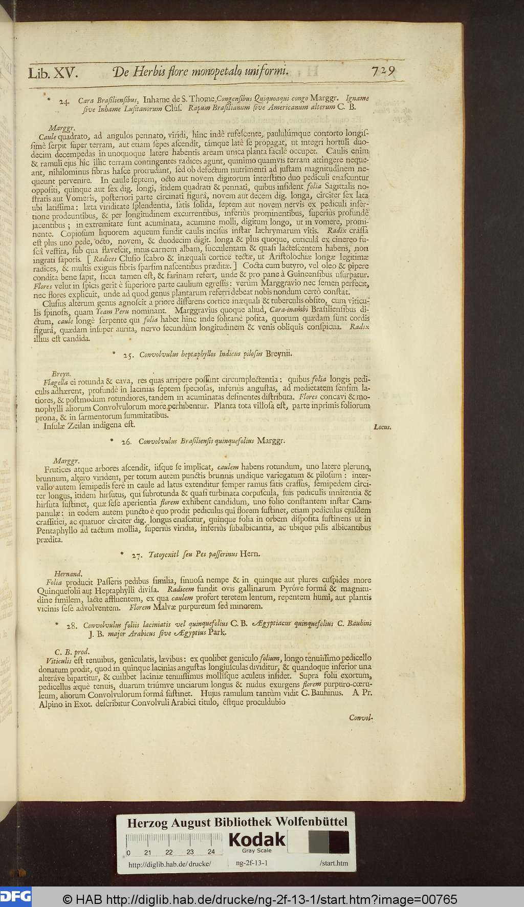 http://diglib.hab.de/drucke/ng-2f-13-1/00765.jpg