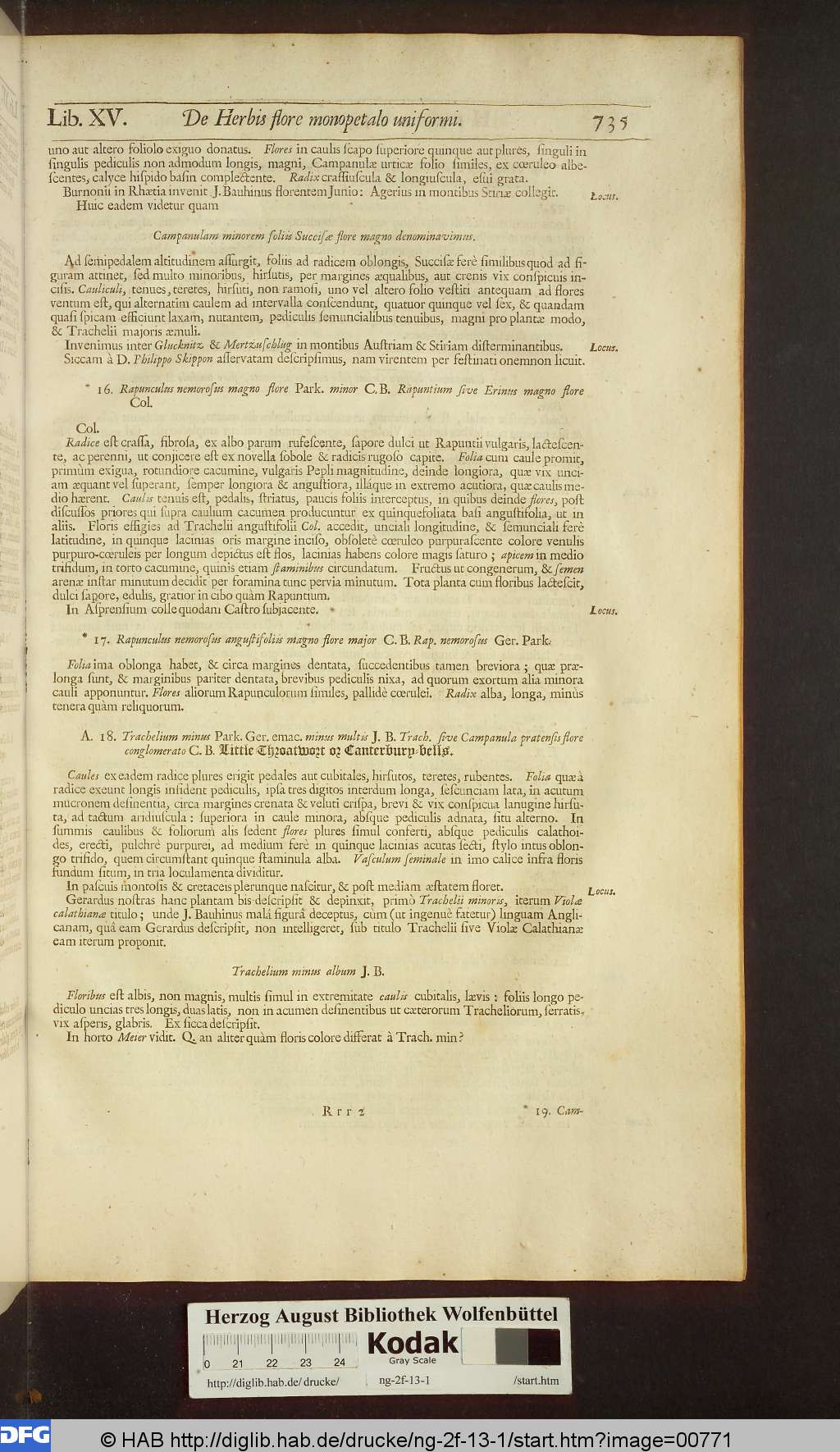 http://diglib.hab.de/drucke/ng-2f-13-1/00771.jpg