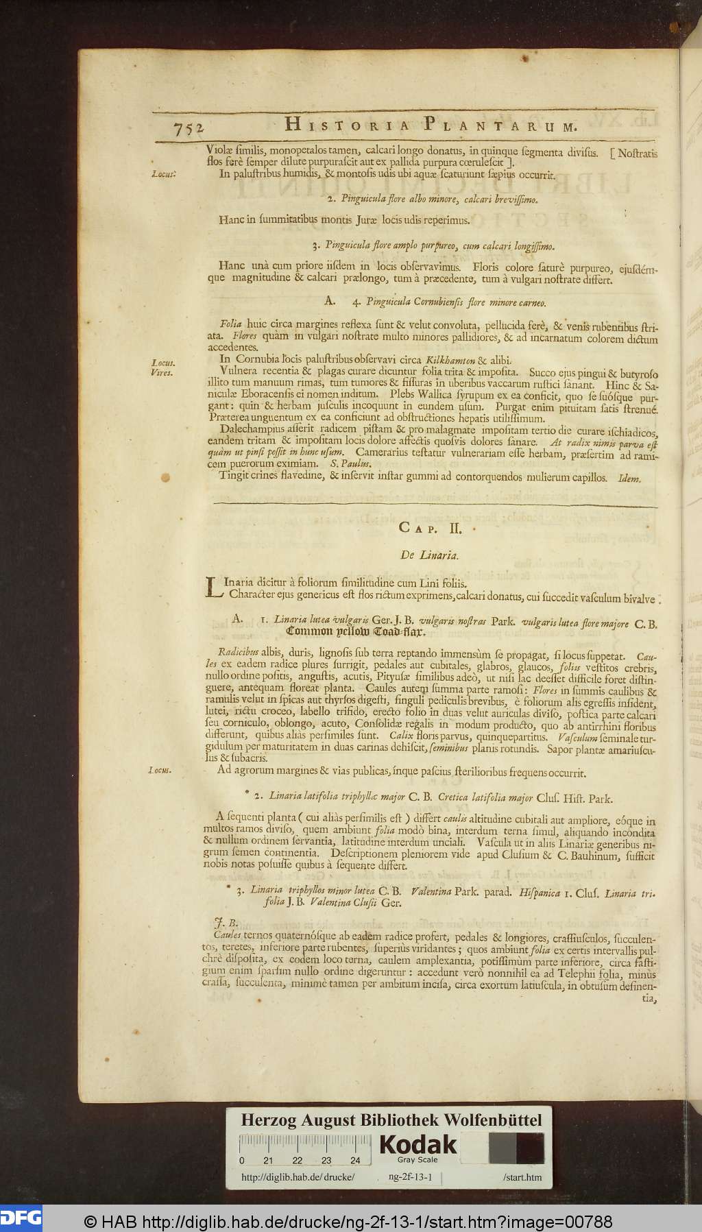 http://diglib.hab.de/drucke/ng-2f-13-1/00788.jpg