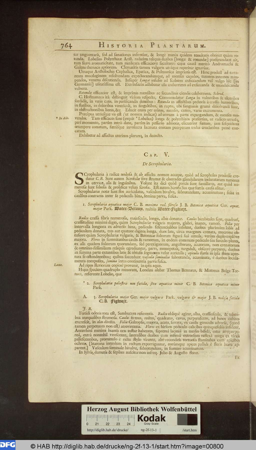 http://diglib.hab.de/drucke/ng-2f-13-1/00800.jpg