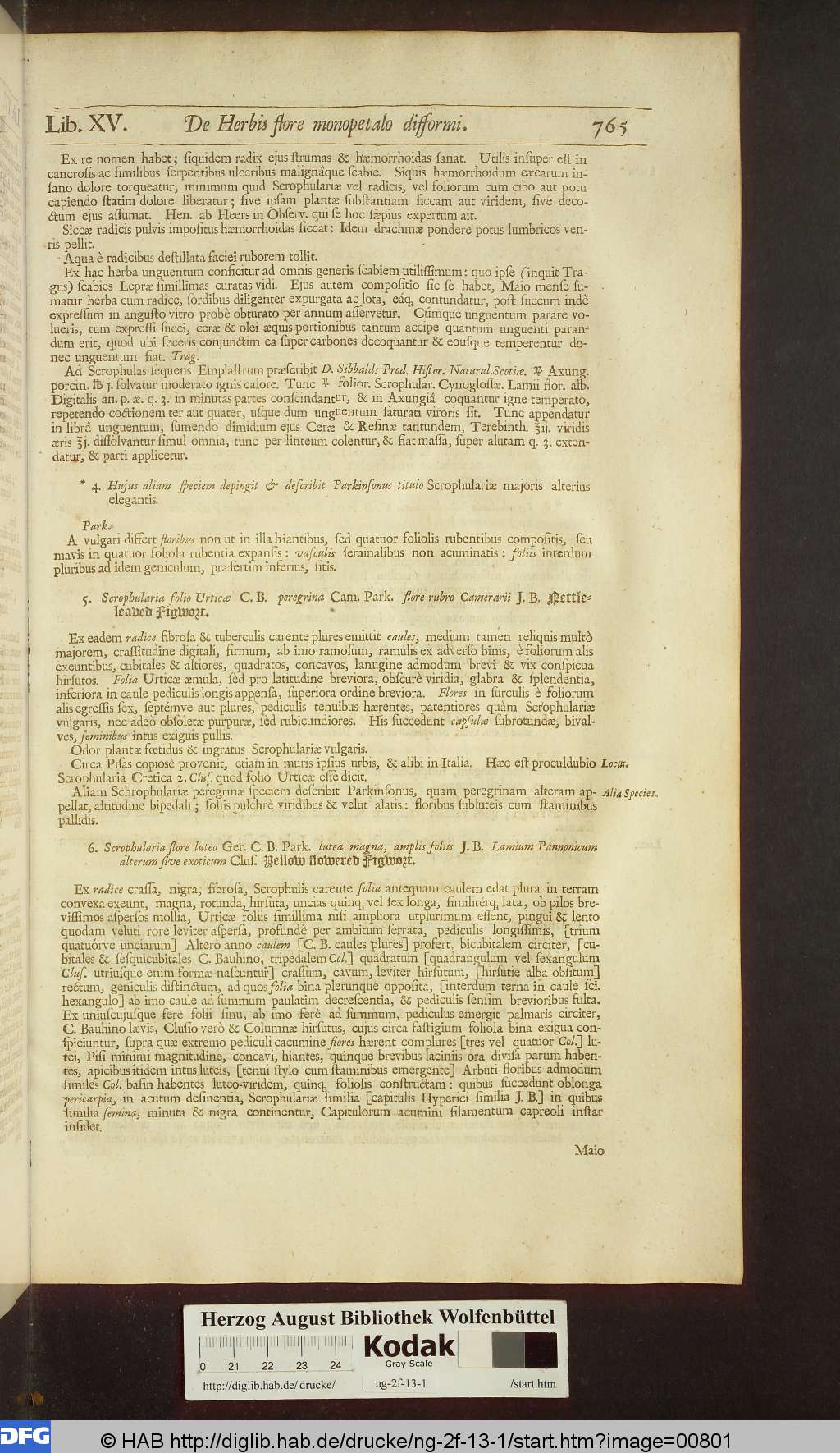 http://diglib.hab.de/drucke/ng-2f-13-1/00801.jpg