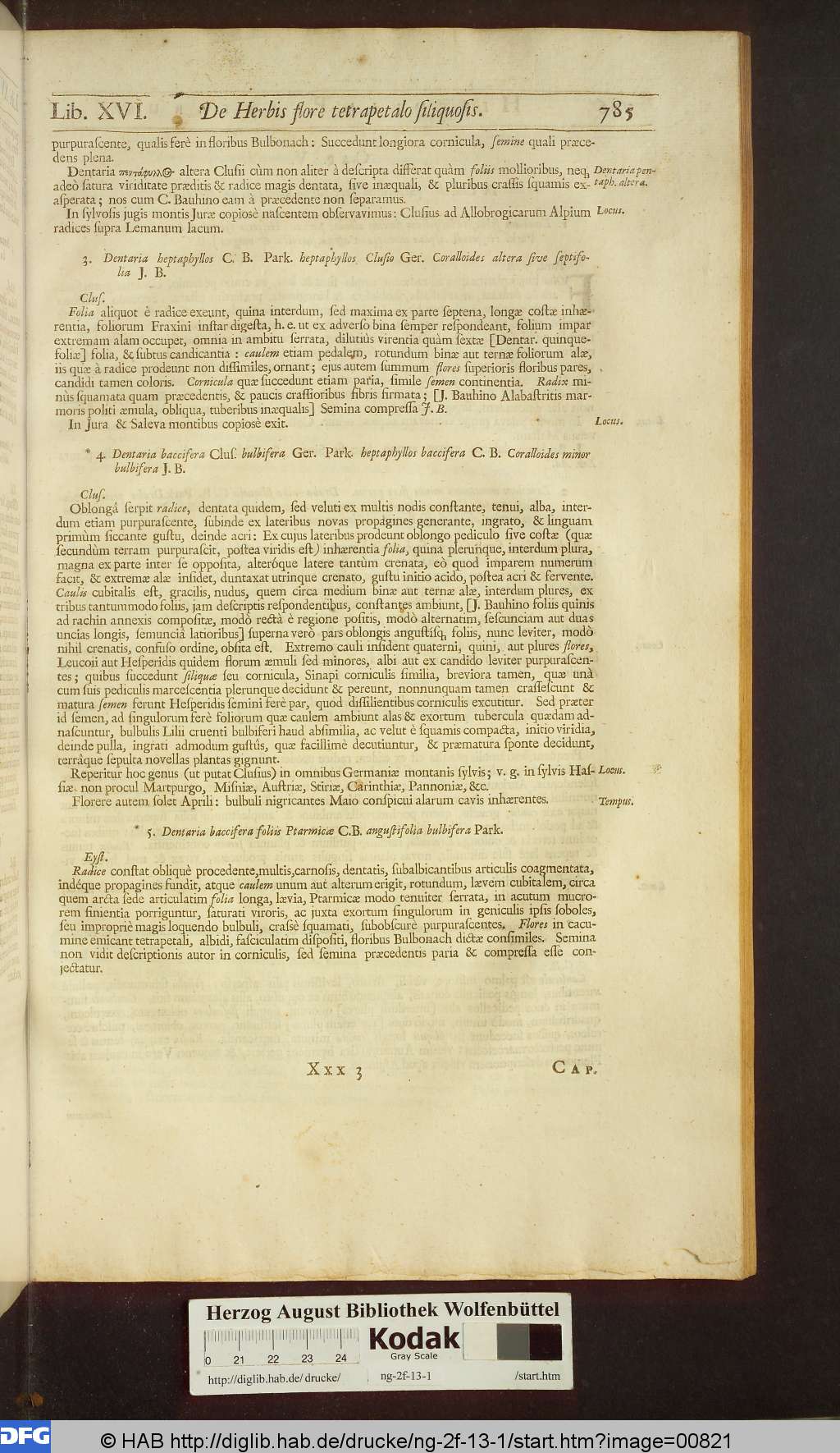 http://diglib.hab.de/drucke/ng-2f-13-1/00821.jpg