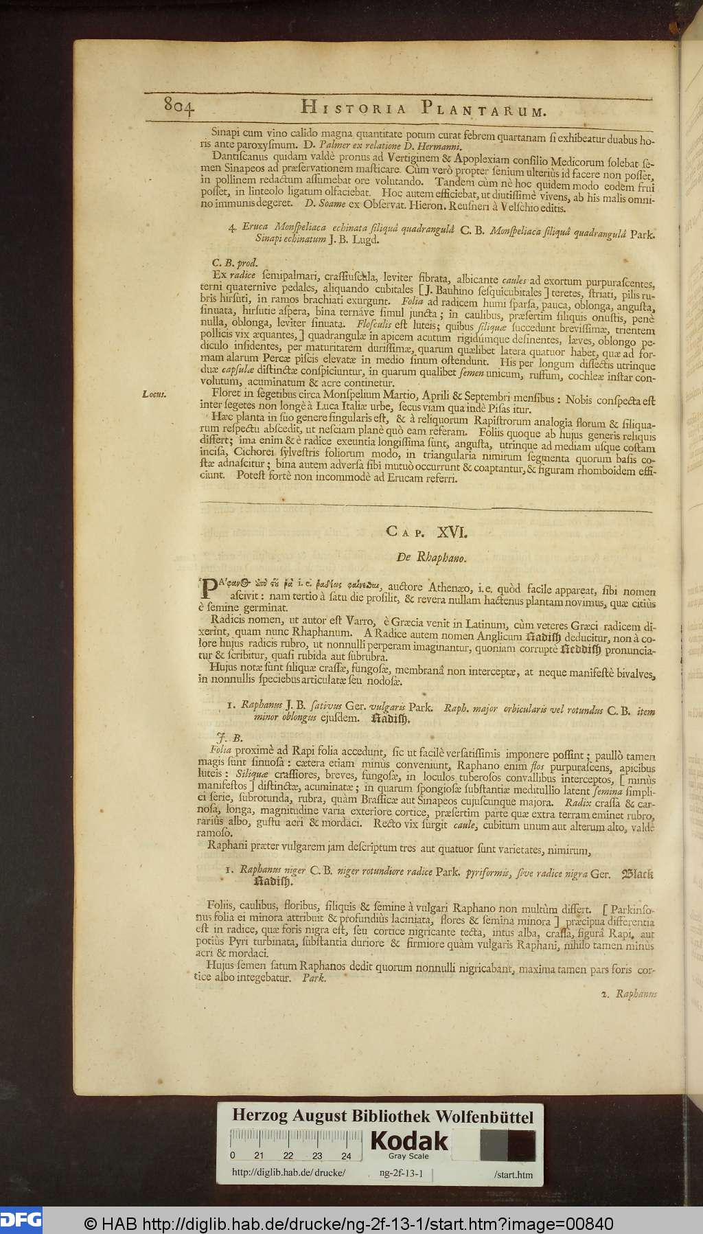 http://diglib.hab.de/drucke/ng-2f-13-1/00840.jpg