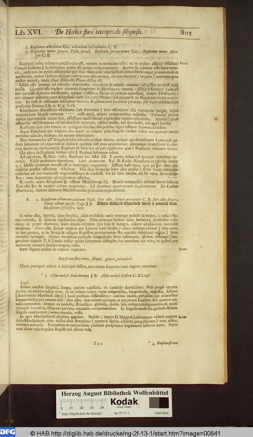 http://diglib.hab.de/drucke/ng-2f-13-1/00841.jpg