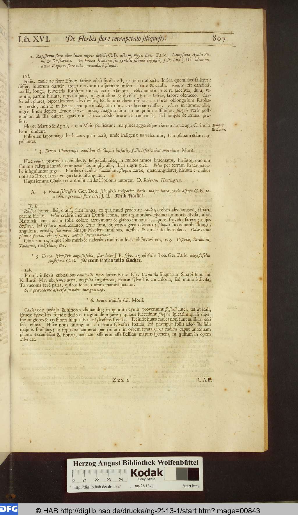 http://diglib.hab.de/drucke/ng-2f-13-1/00843.jpg