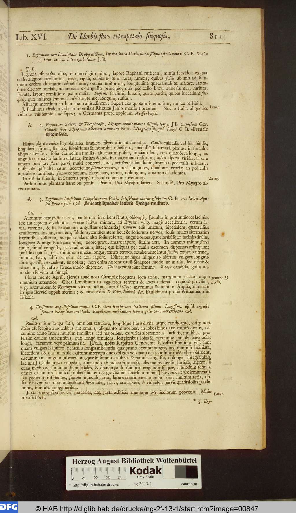 http://diglib.hab.de/drucke/ng-2f-13-1/00847.jpg