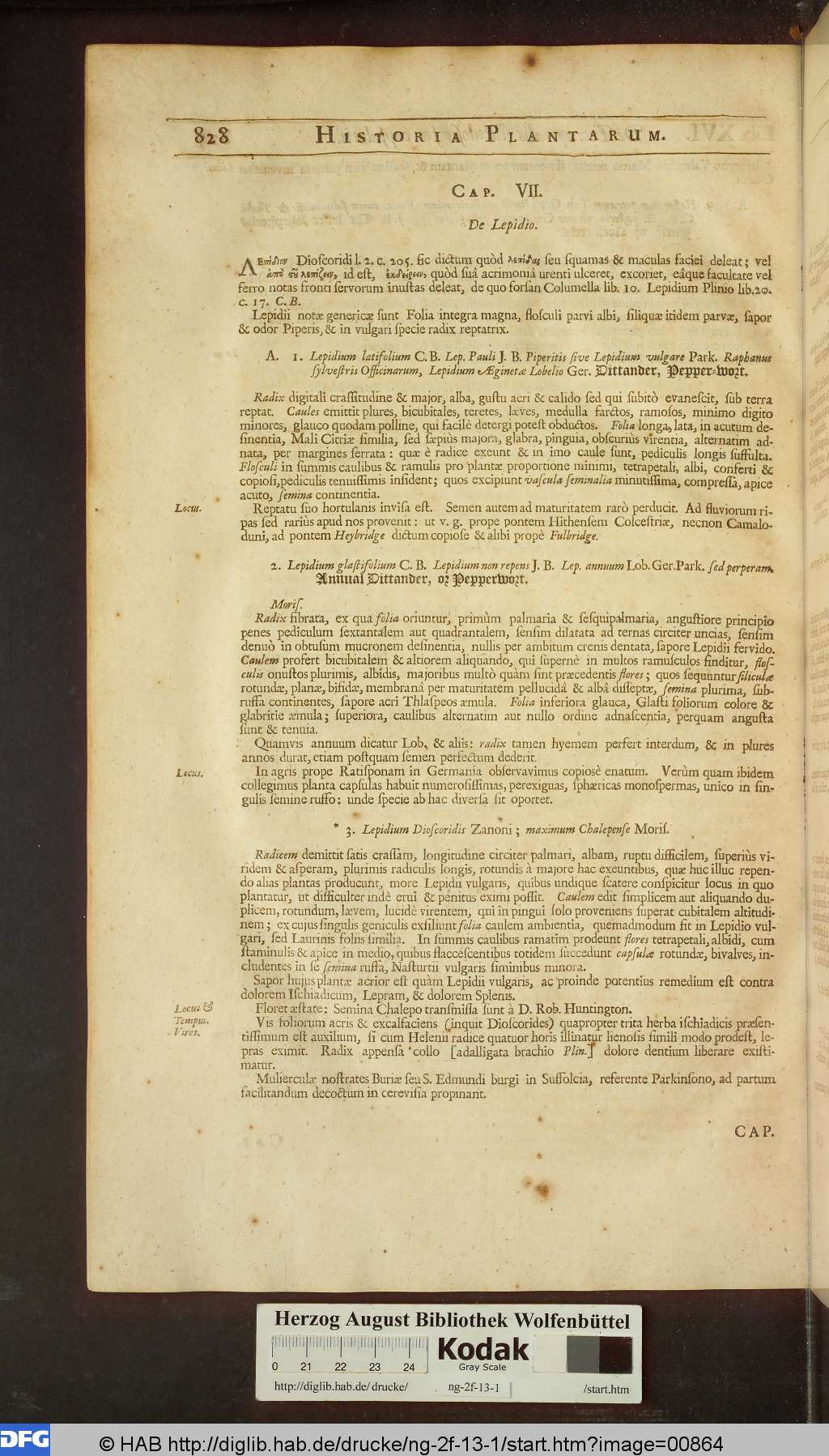 http://diglib.hab.de/drucke/ng-2f-13-1/00864.jpg